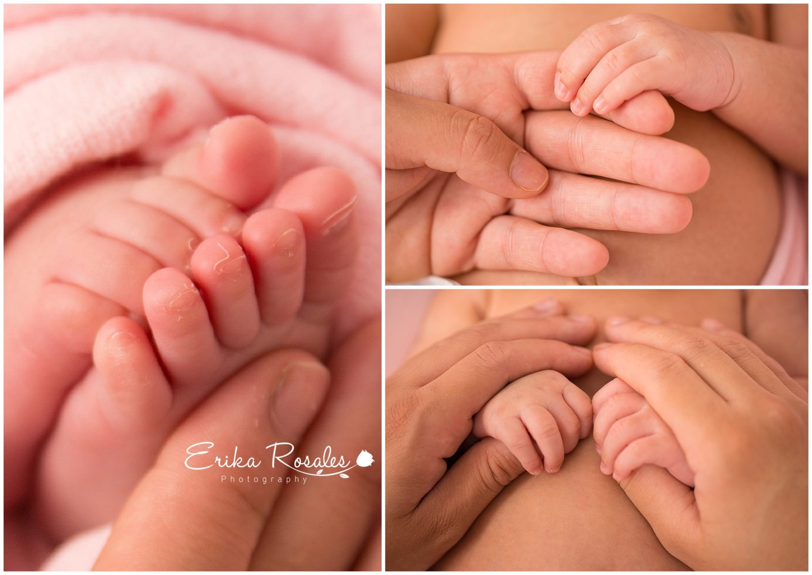 Erika Rosales Houston | Newborn-Smash Cake Maternity Photographer