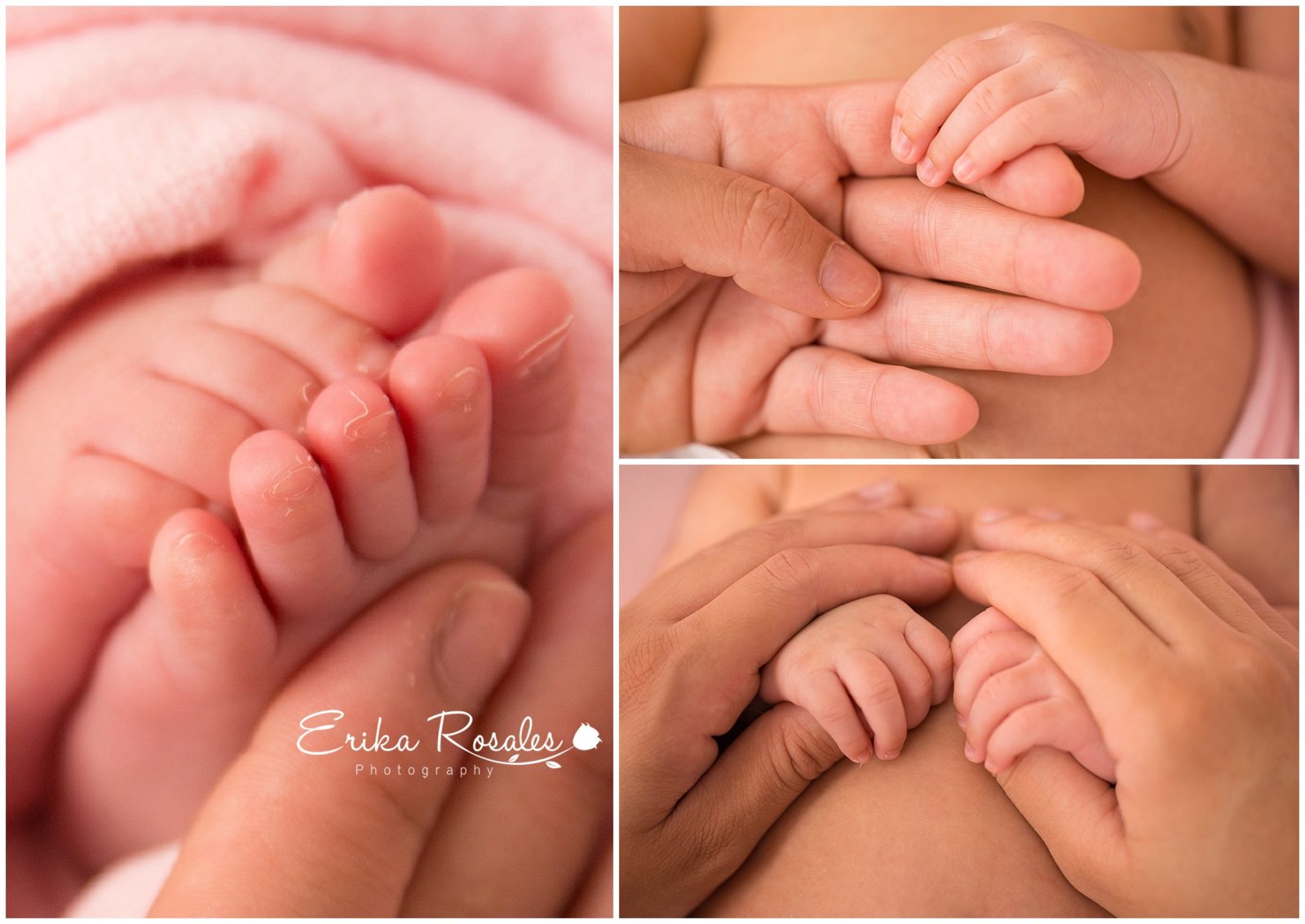 Erika Rosales New York Photo Studio | Family Portrait Studio in Bronx NY