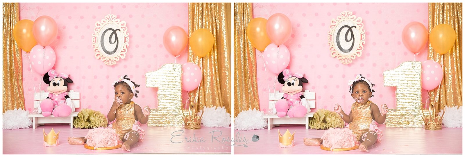Erika Rosales Houston | Newborn-Smash Cake Maternity Photographer