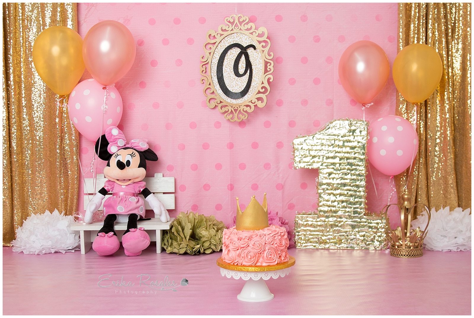 Erika Rosales Houston | Newborn-Smash Cake Maternity Photographer