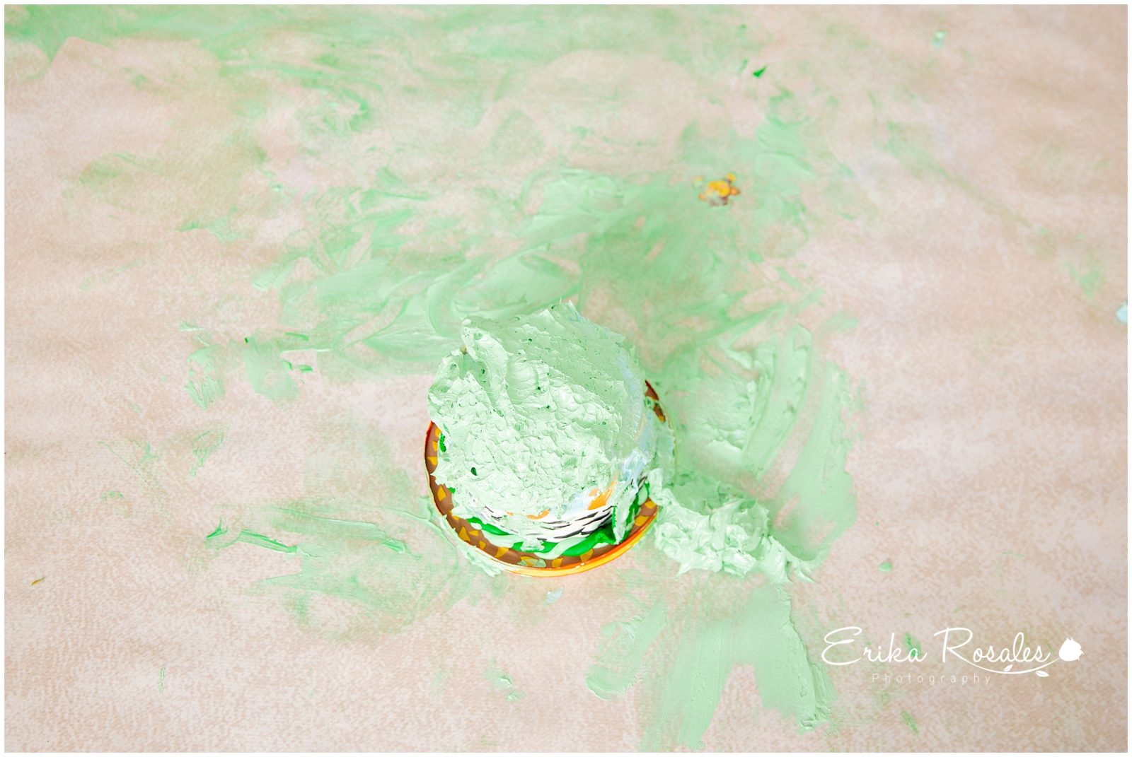 Erika Rosales Houston | Newborn-Smash Cake Maternity Photographer