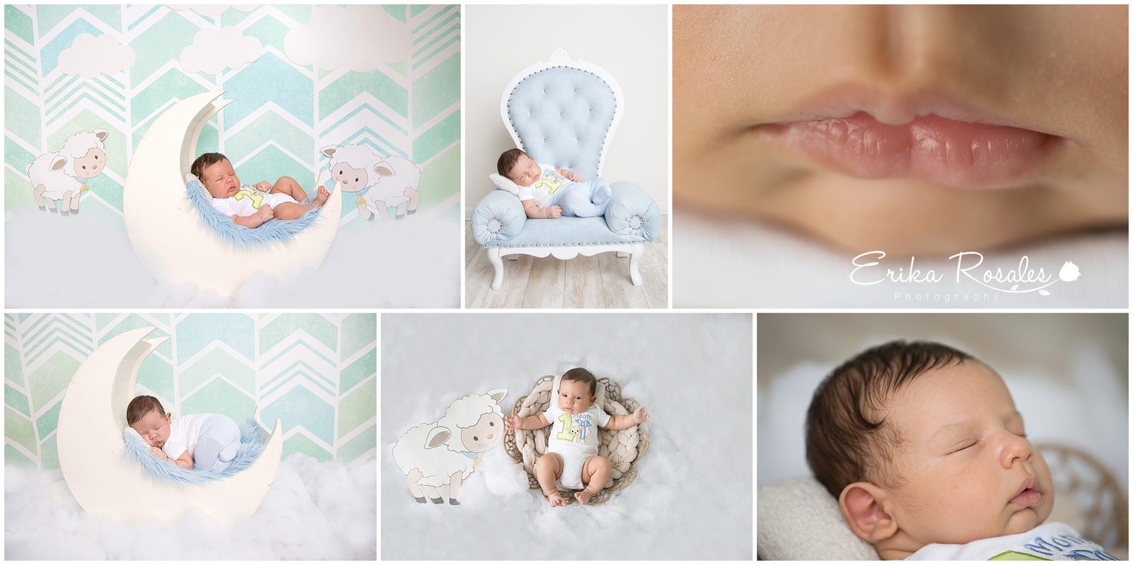 Erika Rosales Houston | Newborn-Smash Cake Maternity Photographer