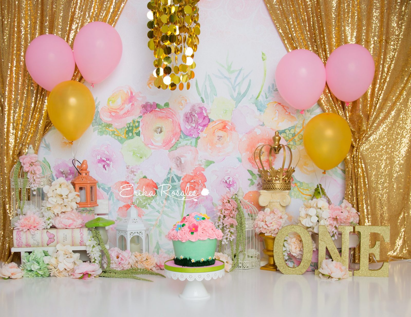 Erika Rosales Houston | Newborn-Smash Cake Maternity Photographer