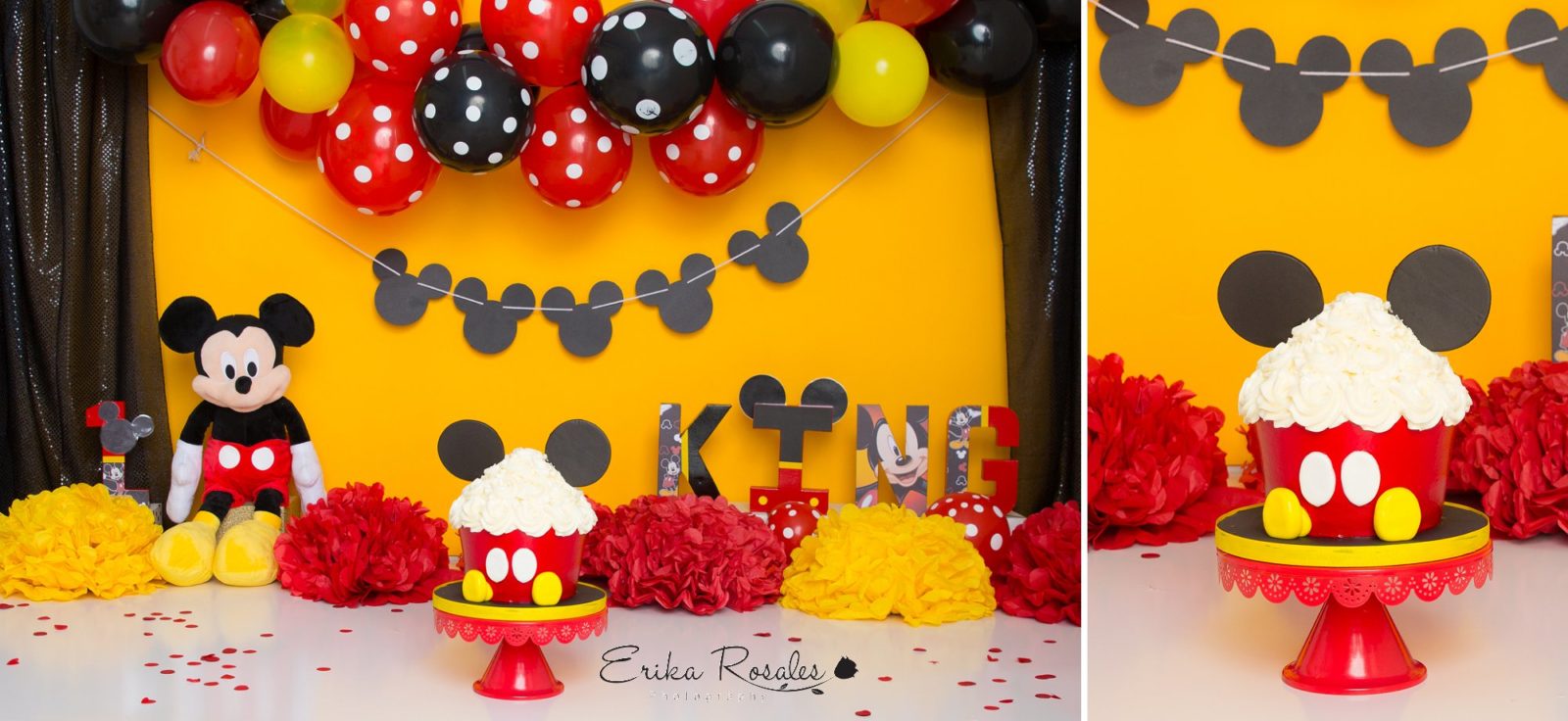 Erika Rosales Houston | Newborn-Smash Cake Maternity Photographer