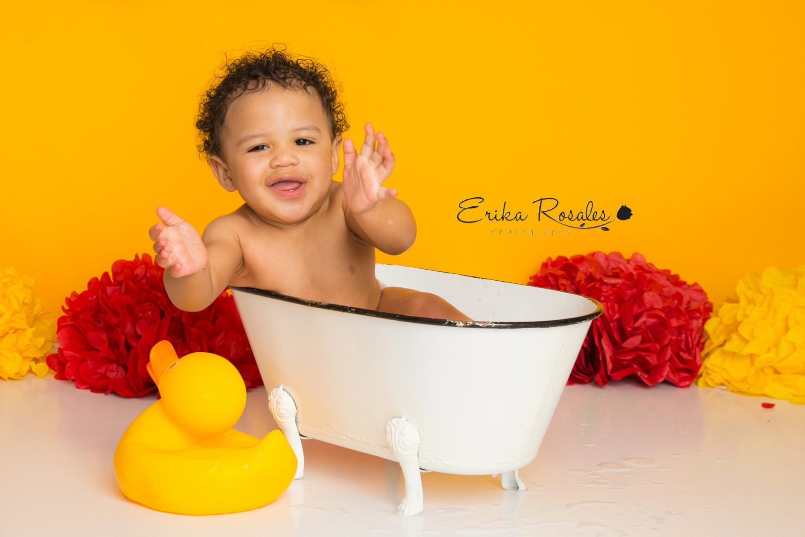 Erika Rosales New York Photo Studio | Family Portrait Studio in Bronx NY