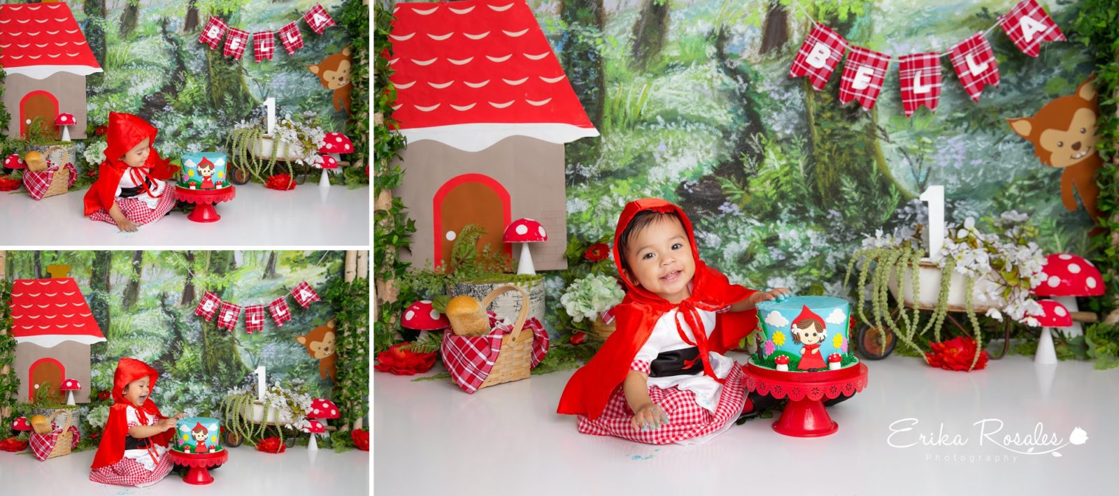 Erika Rosales Houston | Newborn-Smash Cake Maternity Photographer