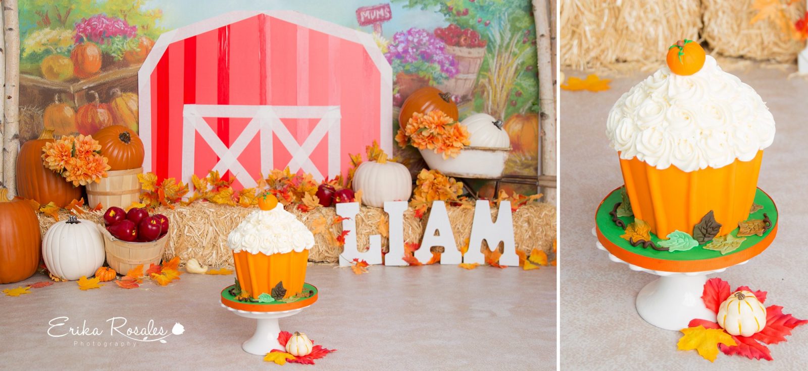 Erika Rosales Houston | Newborn-Smash Cake Maternity Photographer