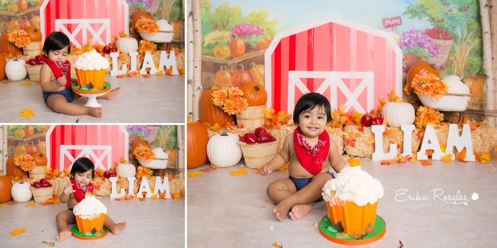 Erika Rosales New York Photo Studio | Family Portrait Studio in Bronx NY