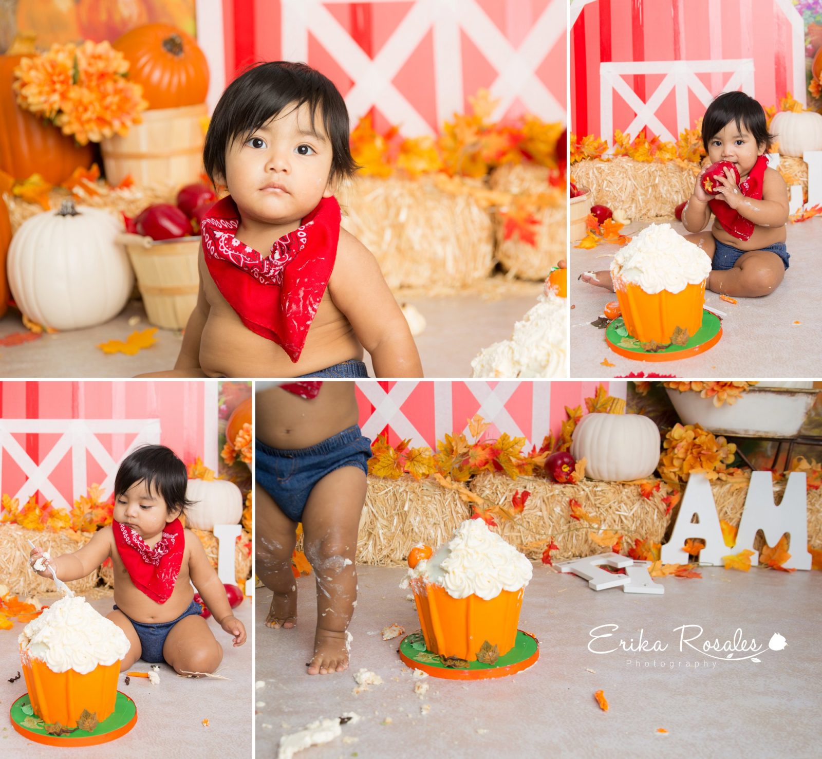 Erika Rosales Houston | Newborn-Smash Cake Maternity Photographer