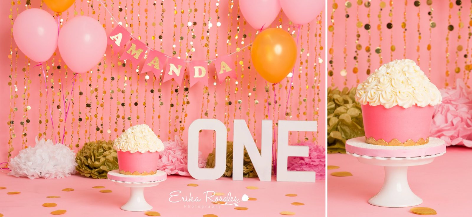 Erika Rosales Houston | Newborn-Smash Cake Maternity Photographer