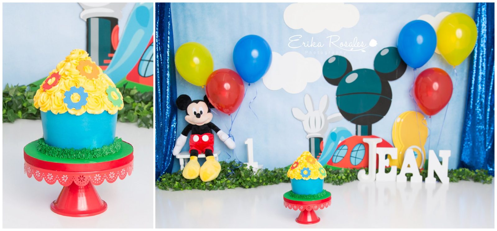 Erika Rosales Houston | Newborn-Smash Cake Maternity Photographer