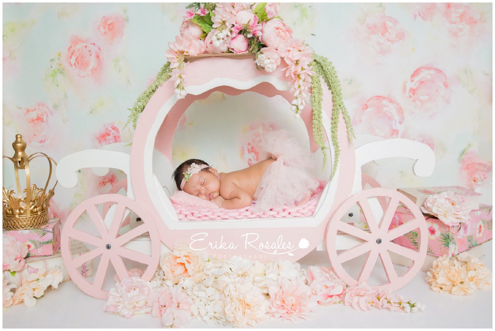 Erika Rosales Houston | Newborn-Smash Cake Maternity Photographer