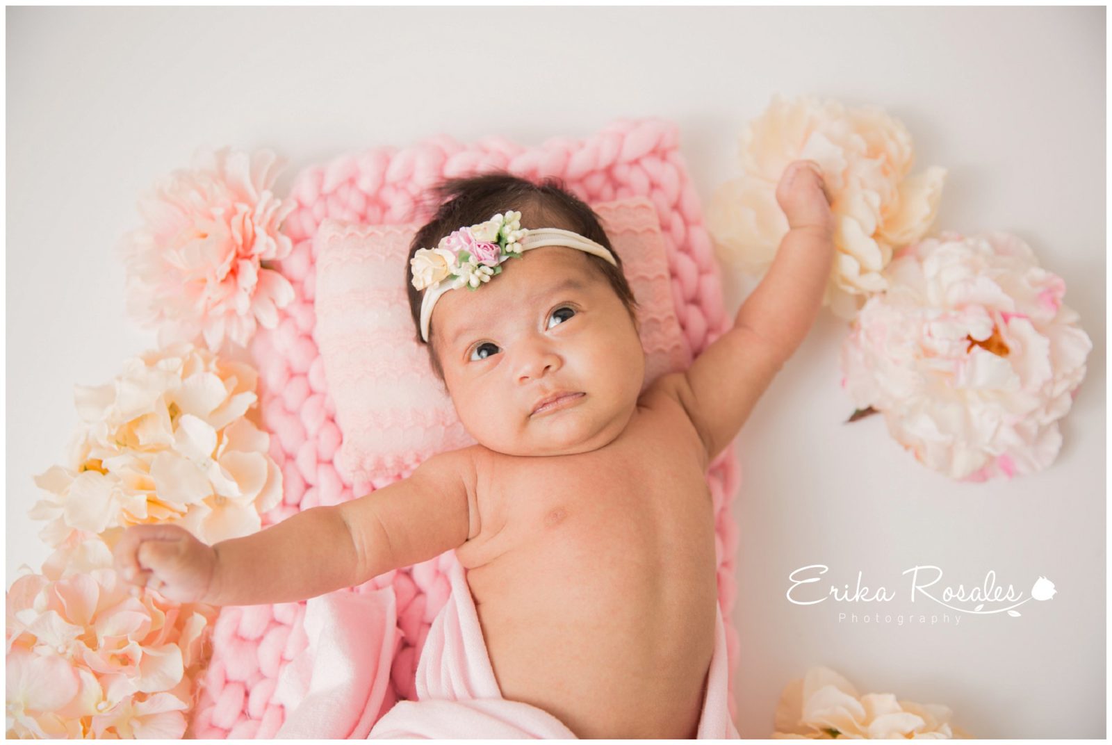 Erika Rosales Houston | Newborn-Smash Cake Maternity Photographer