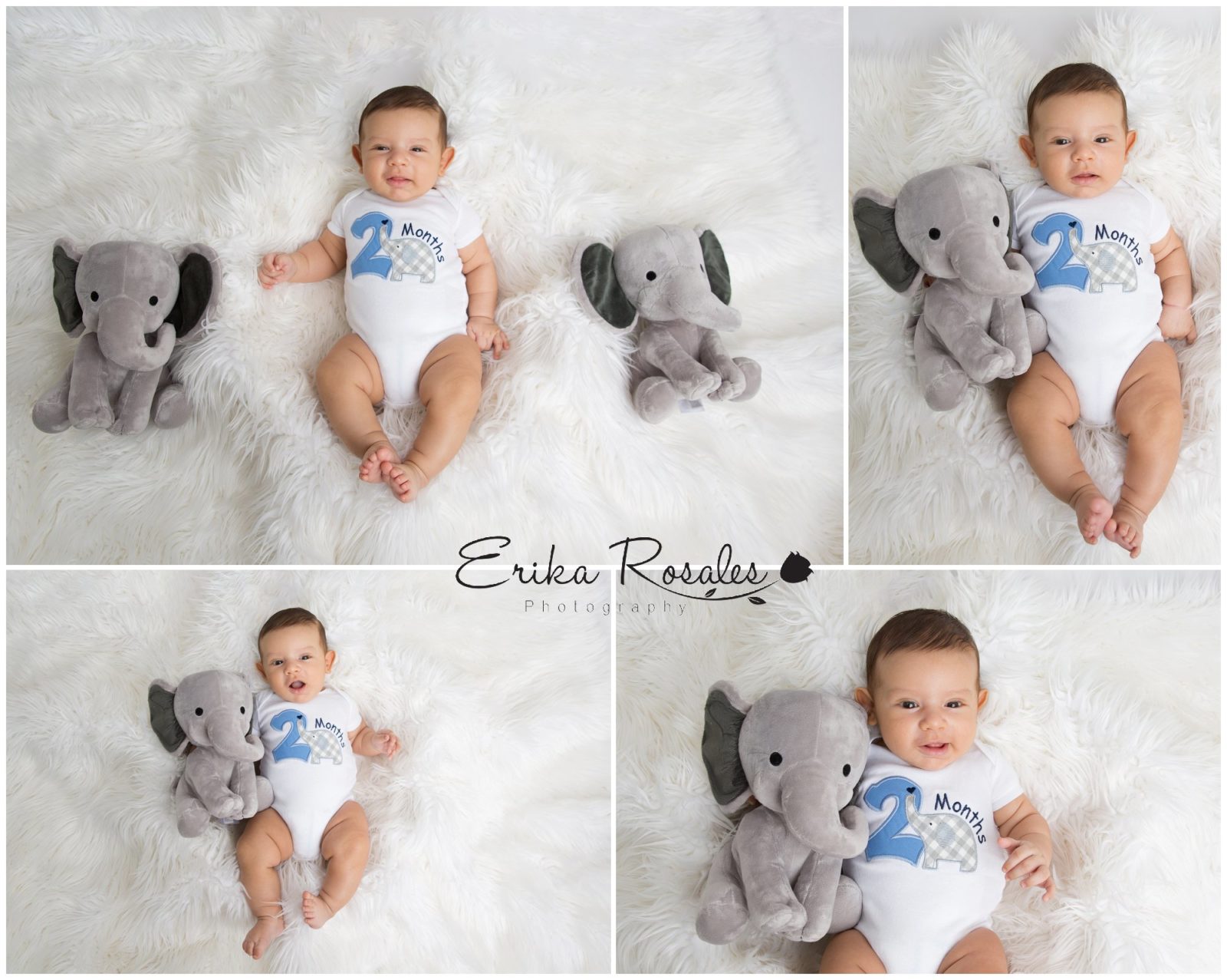 1 month baby boy photoshoot