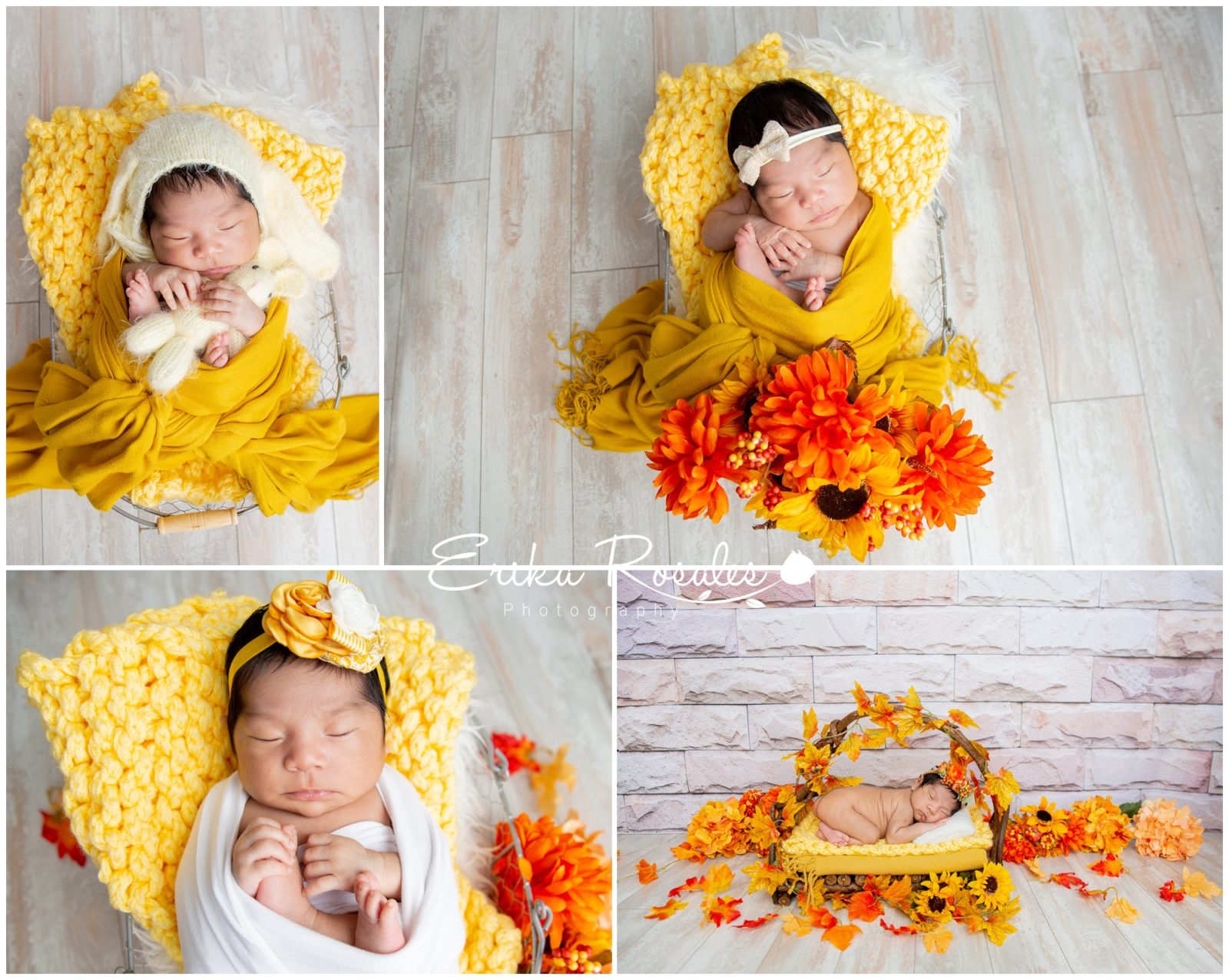 Erika Rosales New York Photo Studio | Family Portrait Studio in Bronx NY