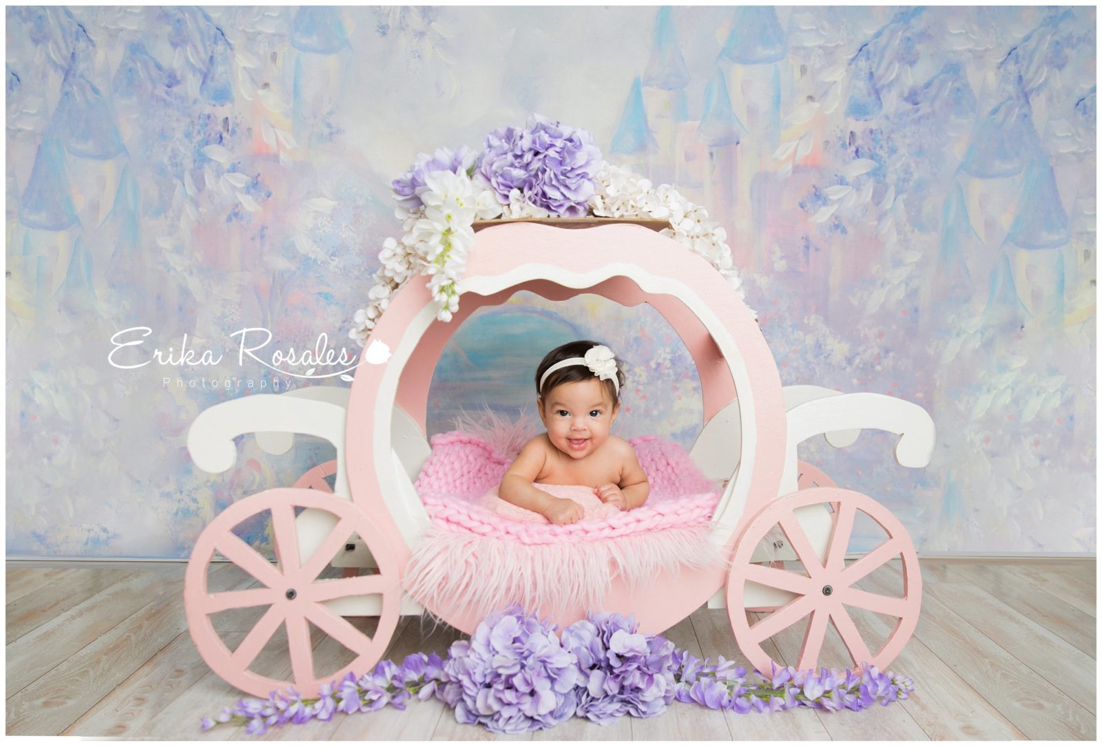 Erika Rosales Houston | Newborn-Smash Cake Maternity Photographer