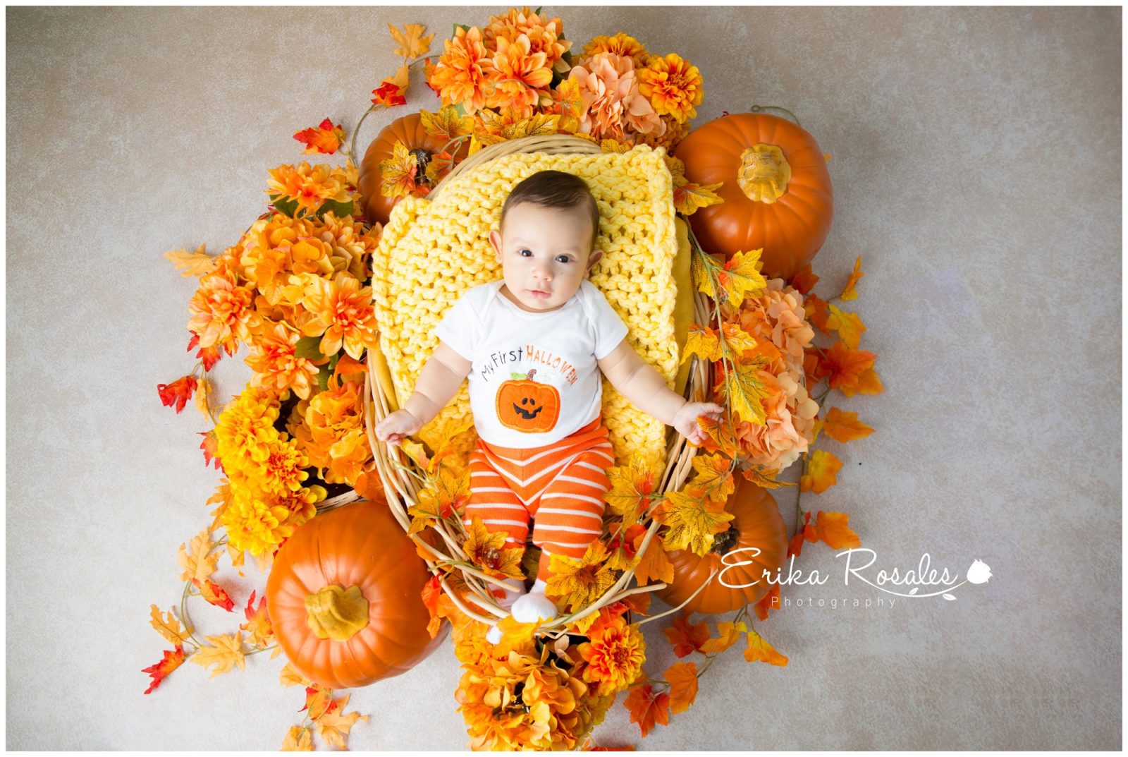 Erika Rosales New York Photo Studio | Family Portrait Studio in Bronx NY