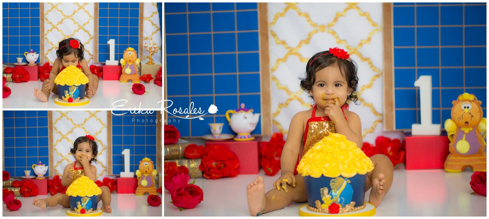 Erika Rosales Houston | Newborn-Smash Cake Maternity Photographer