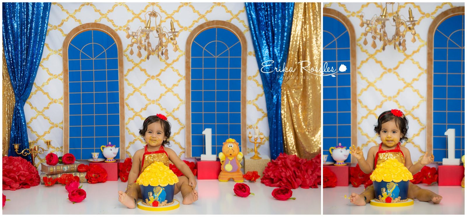 Erika Rosales Houston | Newborn-Smash Cake Maternity Photographer