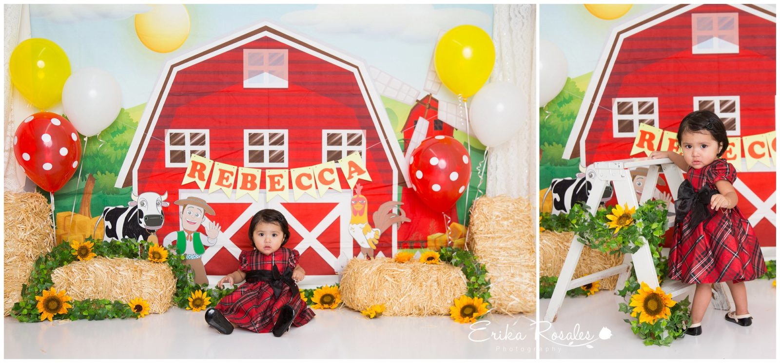 Erika Rosales New York Photo Studio | Family Portrait Studio in Bronx NY