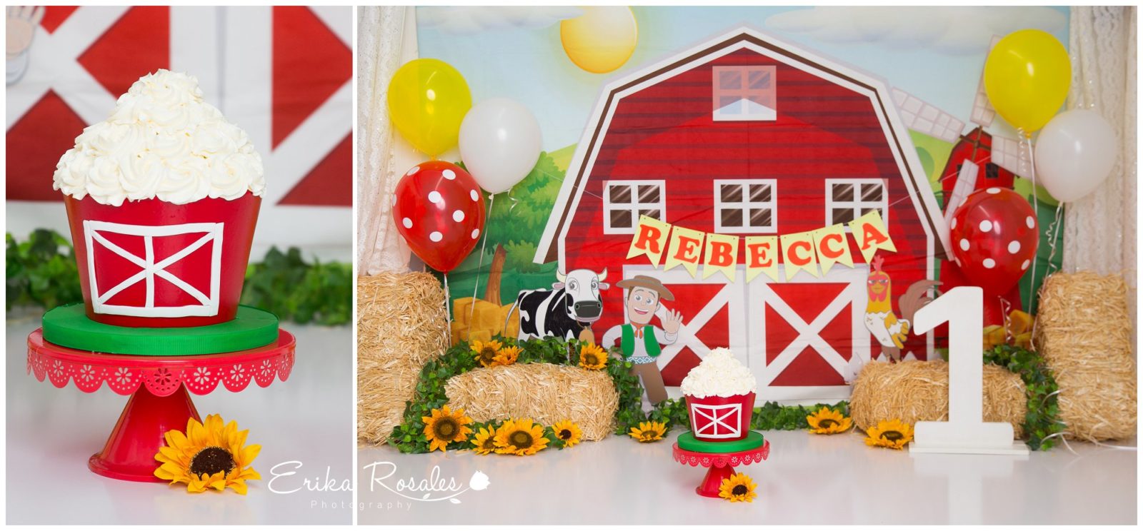 Erika Rosales Houston | Newborn-Smash Cake Maternity Photographer