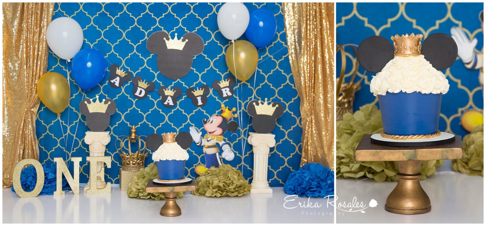 Erika Rosales Houston | Newborn-Smash Cake Maternity Photographer
