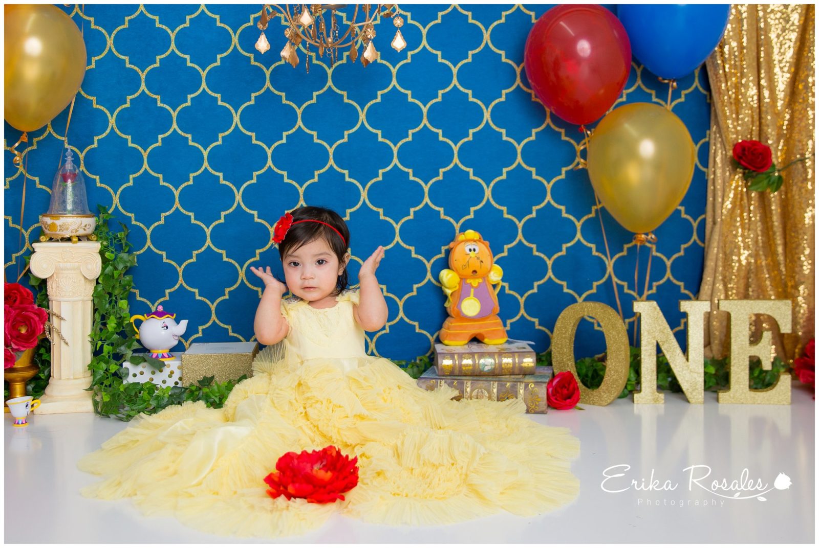 Erika Rosales Houston | Newborn-Smash Cake Maternity Photographer