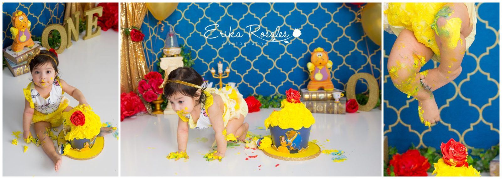 Erika Rosales Houston | Newborn-Smash Cake Maternity Photographer