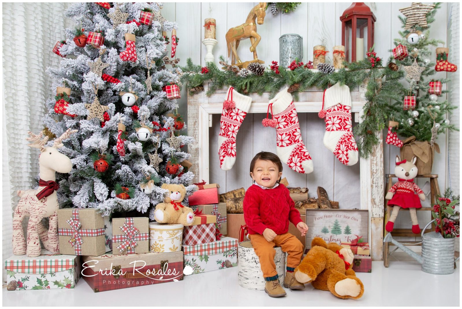 Erika Rosales Houston | Newborn-Smash Cake Maternity Photographer