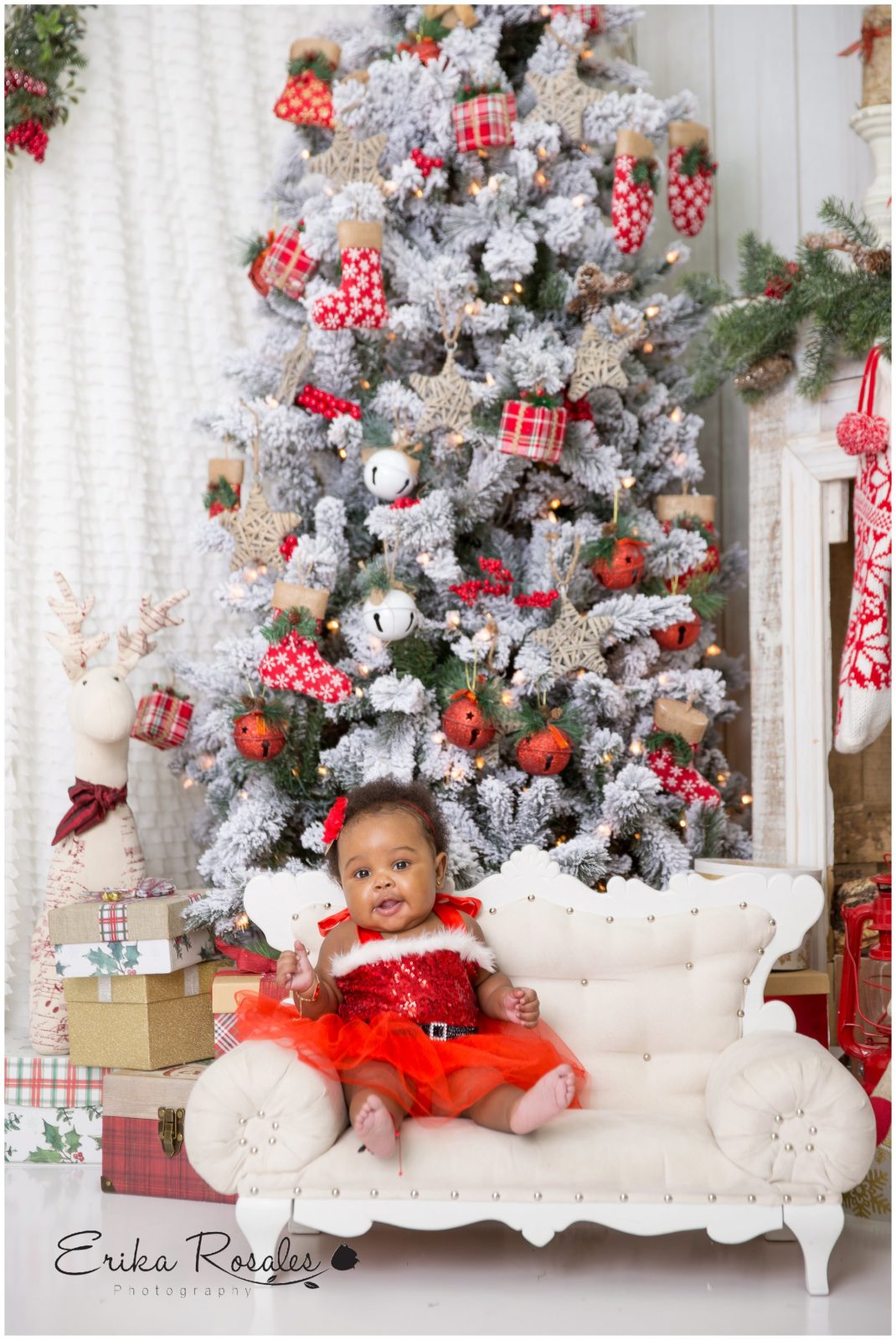 Erika Rosales New York Photo Studio | Family Portrait Studio in Bronx NY