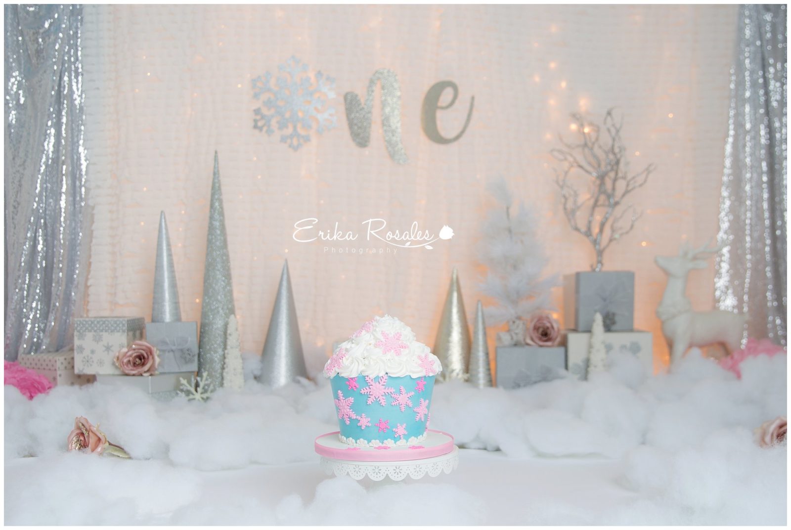 Erika Rosales Houston | Newborn-Smash Cake Maternity Photographer