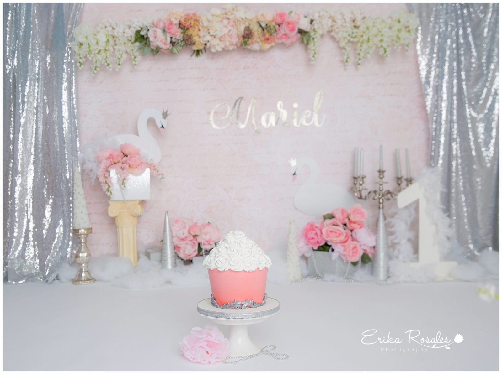 Erika Rosales Houston | Newborn-Smash Cake Maternity Photographer
