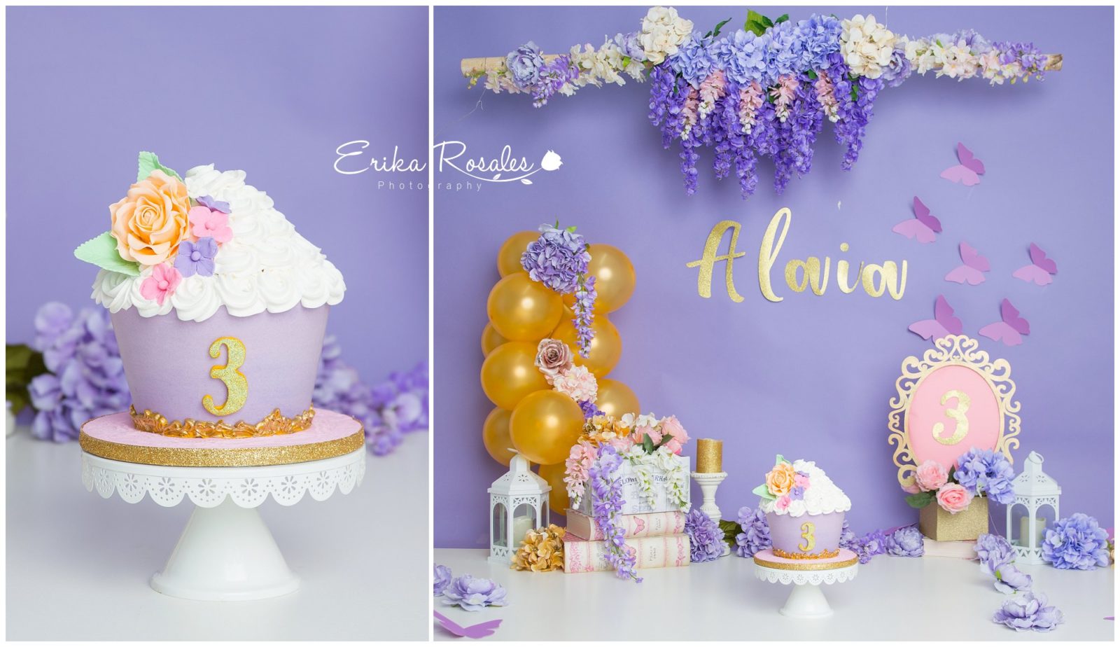 Erika Rosales Houston | Newborn-Smash Cake Maternity Photographer