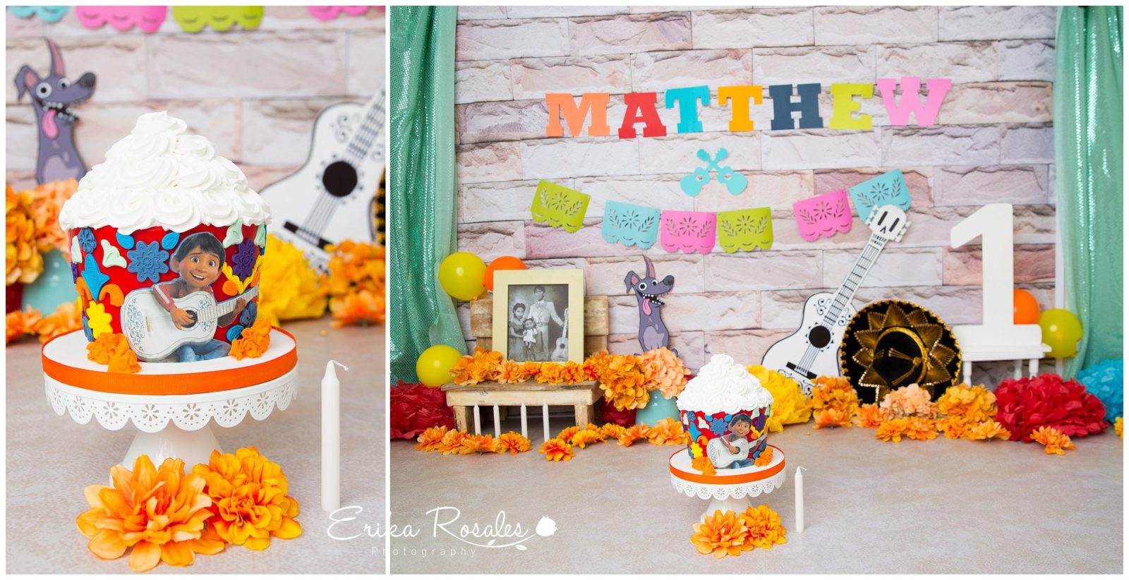 Erika Rosales Houston | Newborn-Smash Cake Maternity Photographer