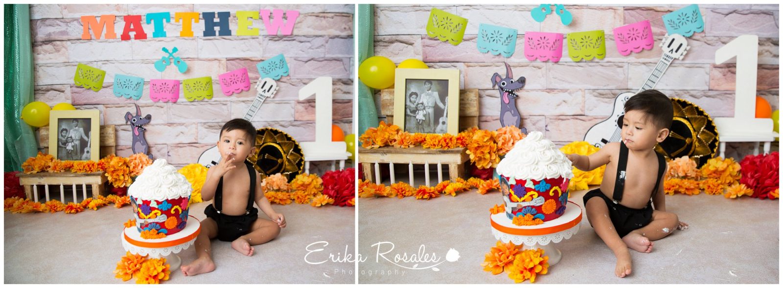 Erika Rosales Houston | Newborn-Smash Cake Maternity Photographer