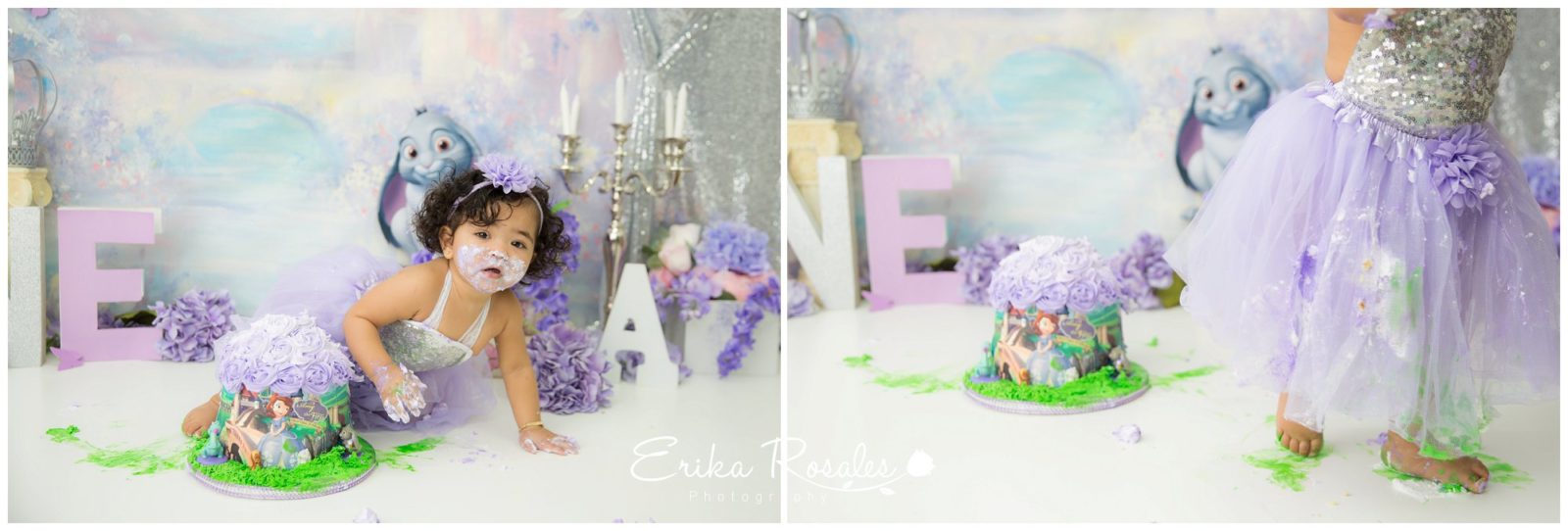 Erika Rosales Houston | Newborn-Smash Cake Maternity Photographer