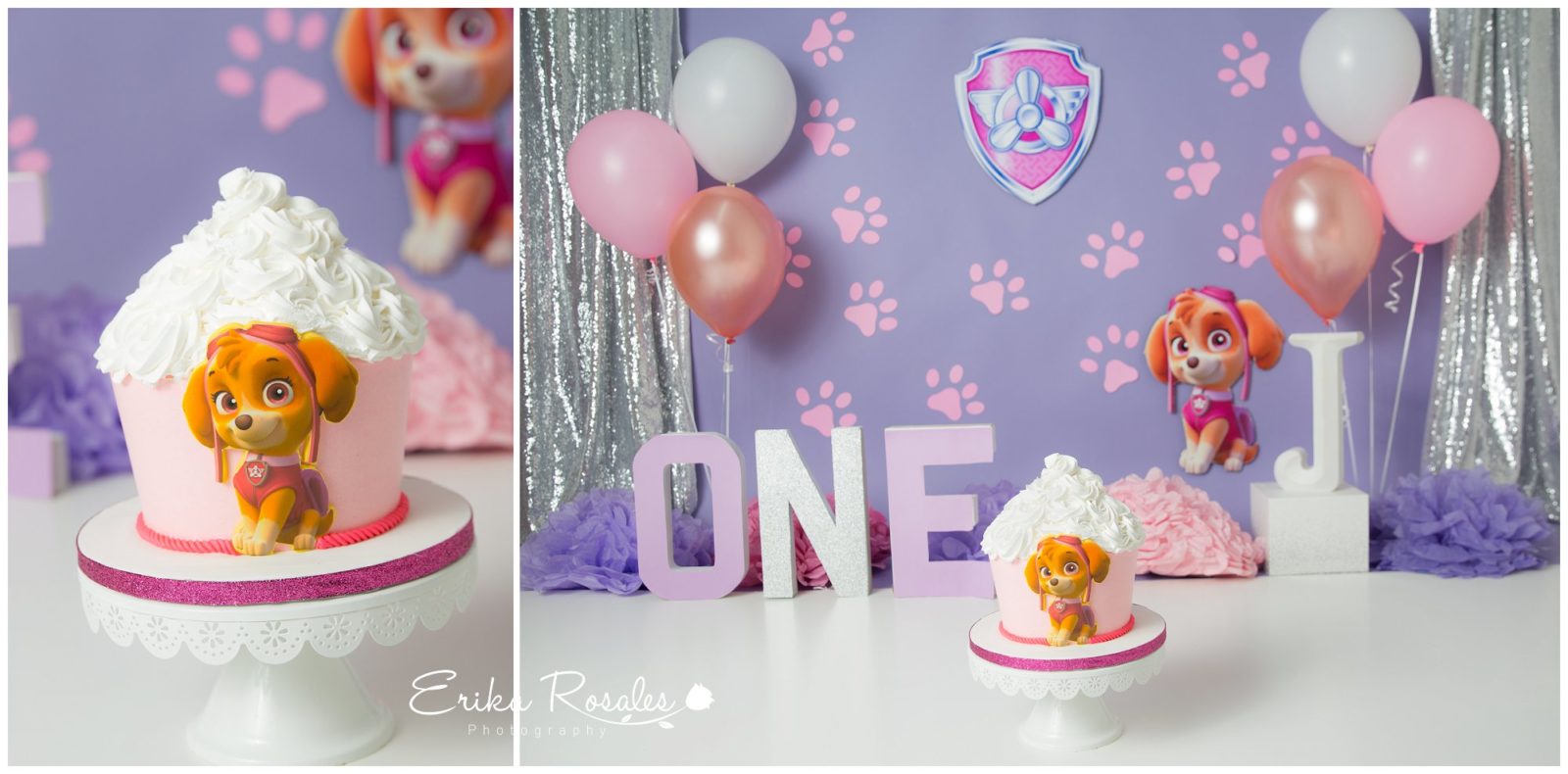 Erika Rosales Houston | Newborn-Smash Cake Maternity Photographer