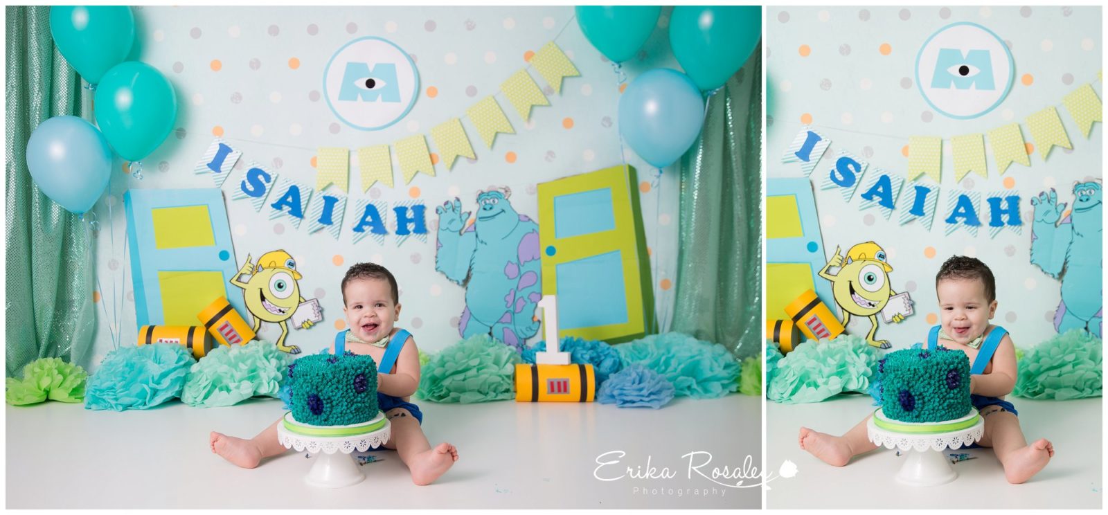 Erika Rosales Houston | Newborn-Smash Cake Maternity Photographer