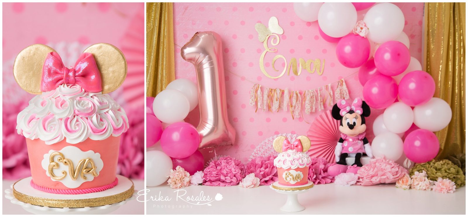 Erika Rosales Houston | Newborn-Smash Cake Maternity Photographer