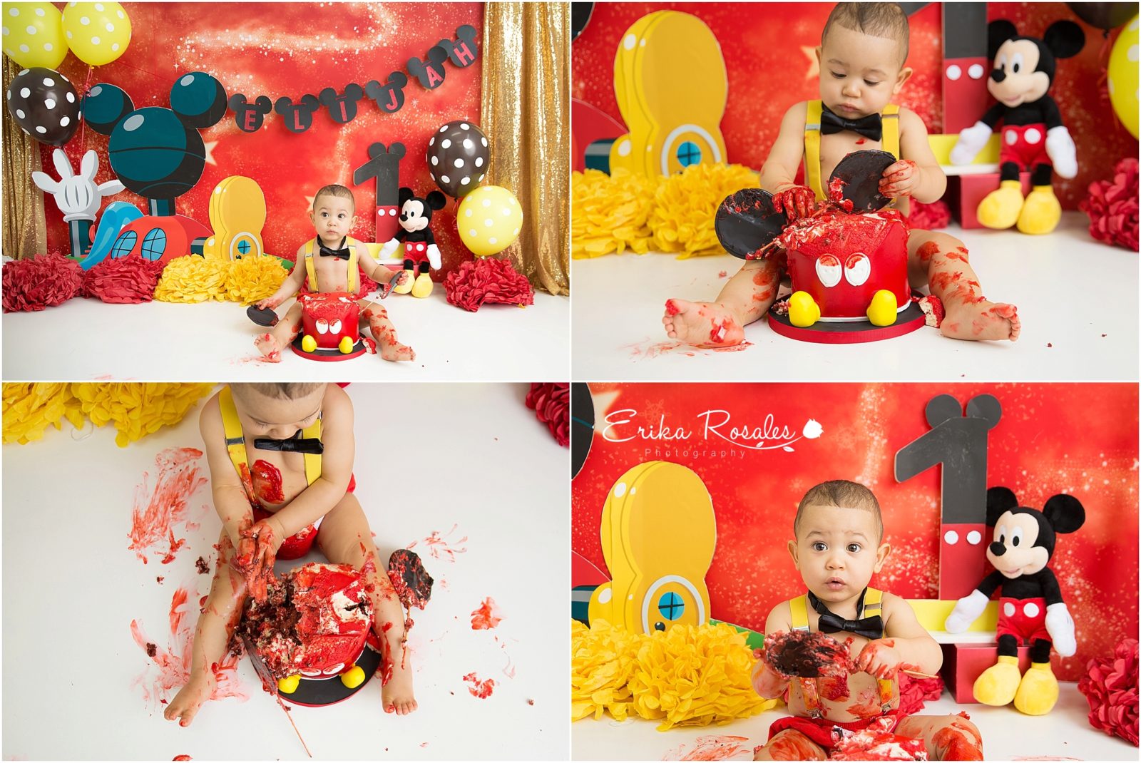 Erika Rosales Houston | Newborn-Smash Cake Maternity Photographer