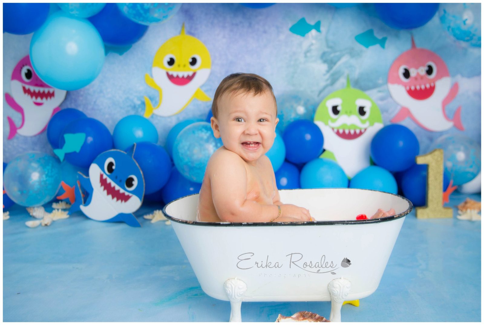 Erika Rosales Houston | Newborn-Smash Cake Maternity Photographer