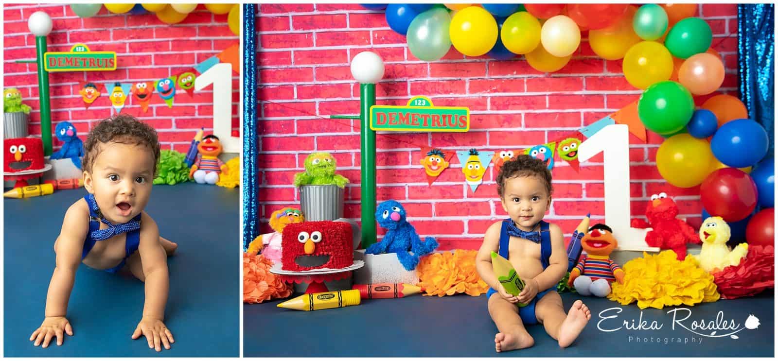 Erika Rosales Houston | Newborn-Smash Cake Maternity Photographer