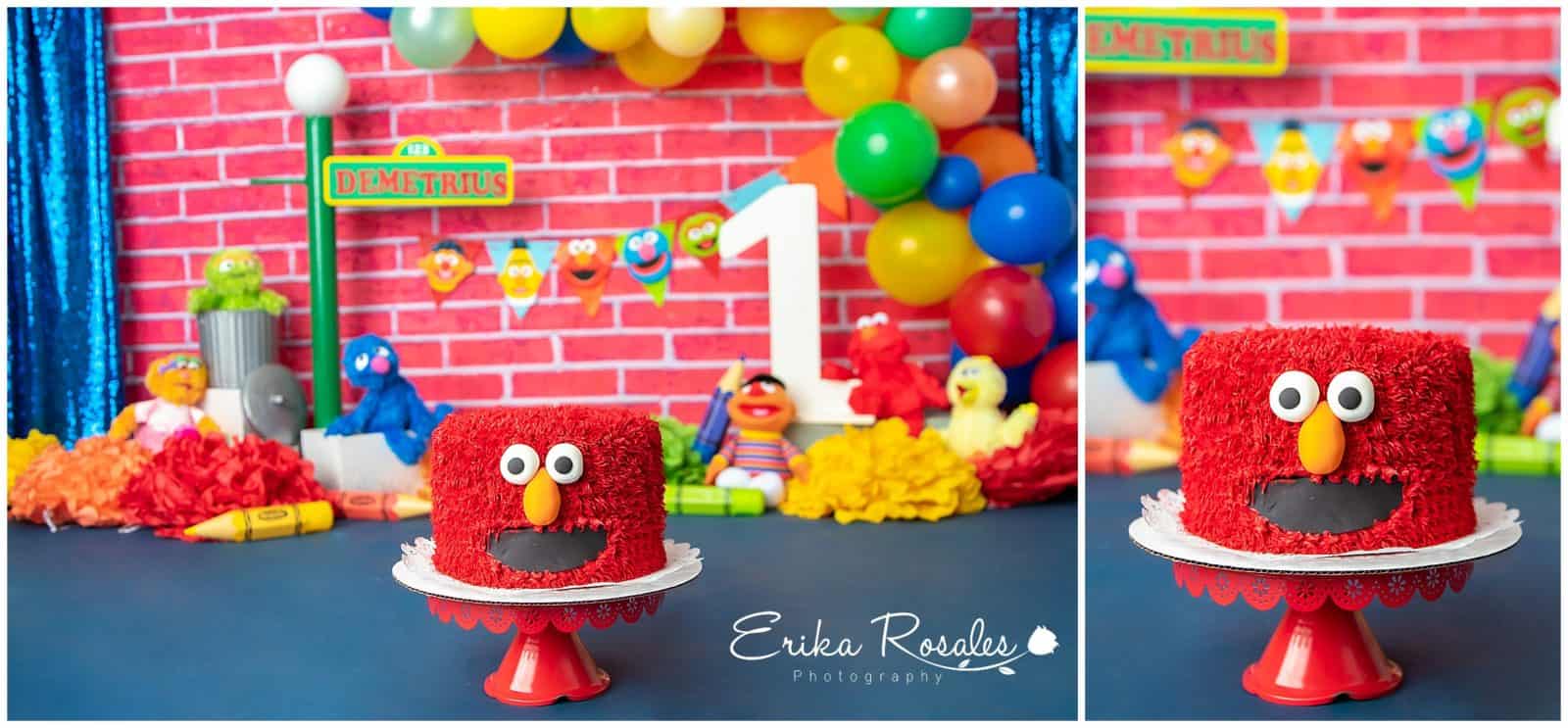 Erika Rosales New York Photo Studio | Family Portrait Studio in Bronx NY