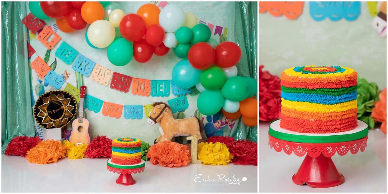 Erika Rosales Houston | Newborn-Smash Cake Maternity Photographer