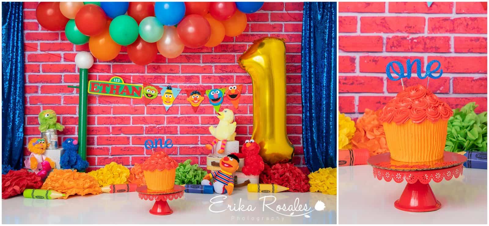Erika Rosales Houston | Newborn-Smash Cake Maternity Photographer