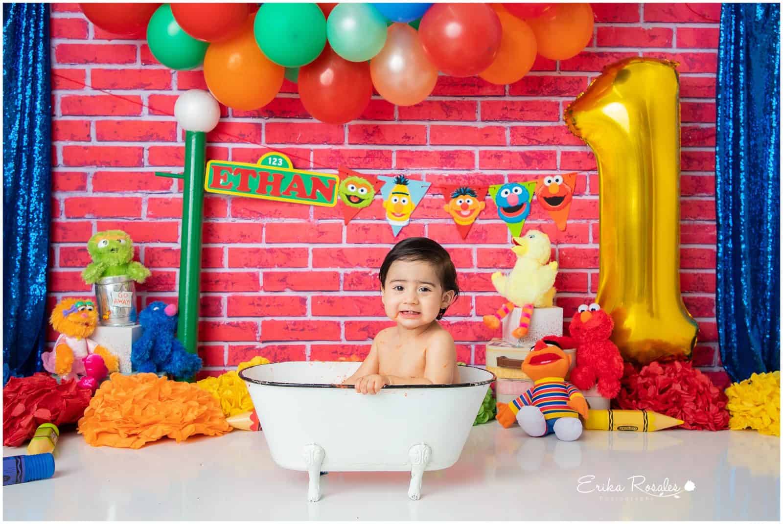 Erika Rosales Houston | Newborn-Smash Cake Maternity Photographer