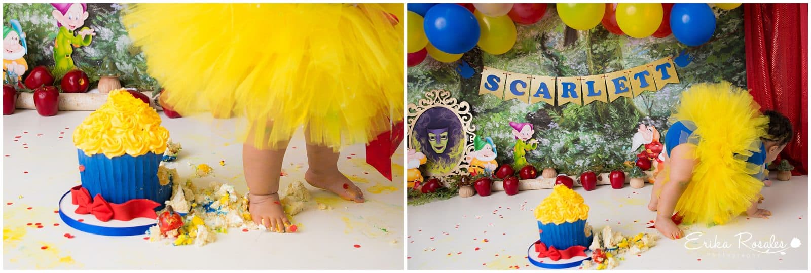 Erika Rosales Houston | Newborn-Smash Cake Maternity Photographer