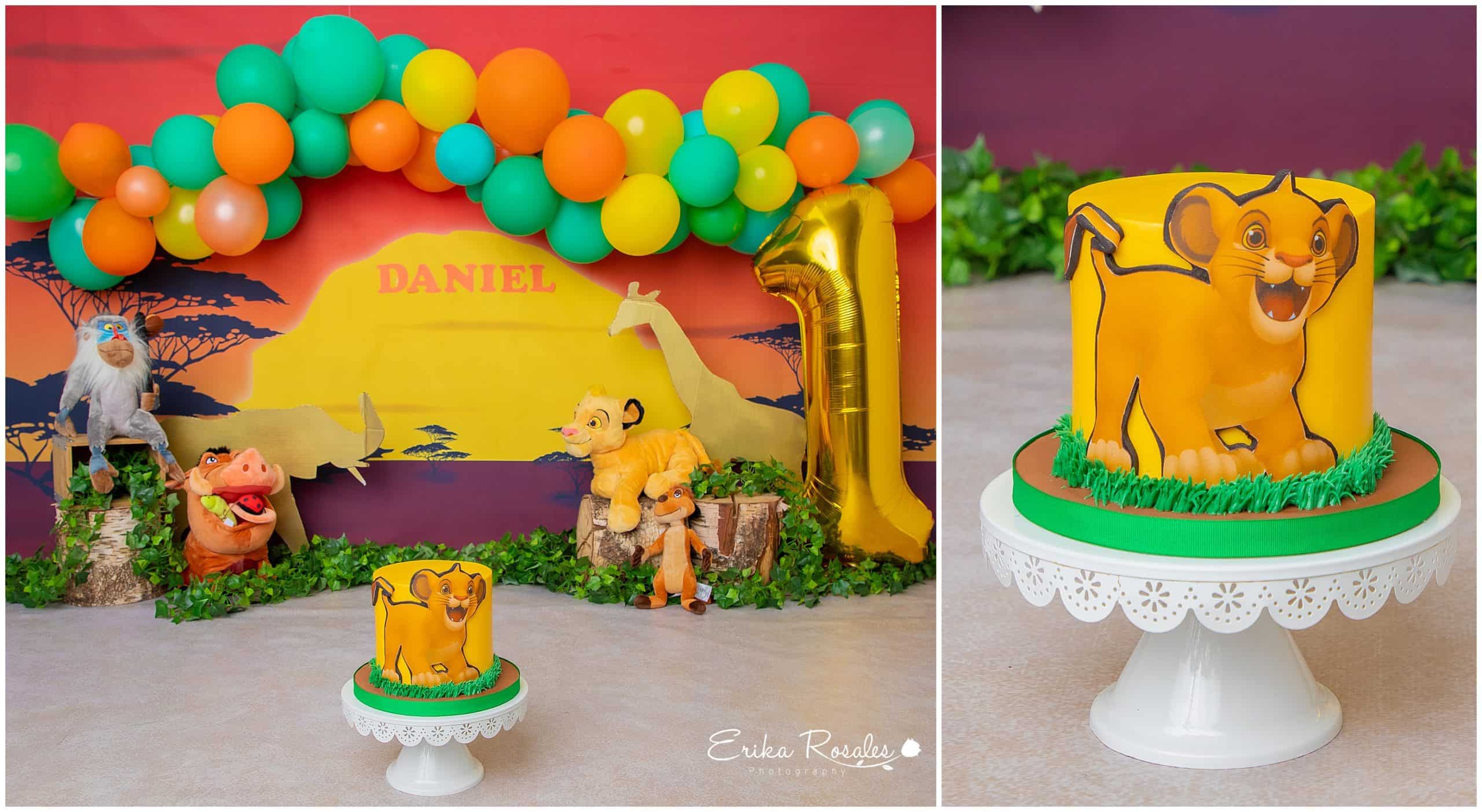 lion king cake smash Archives Erika Rosales New York Photo Studio Family Portrait Studio in Bronx NY