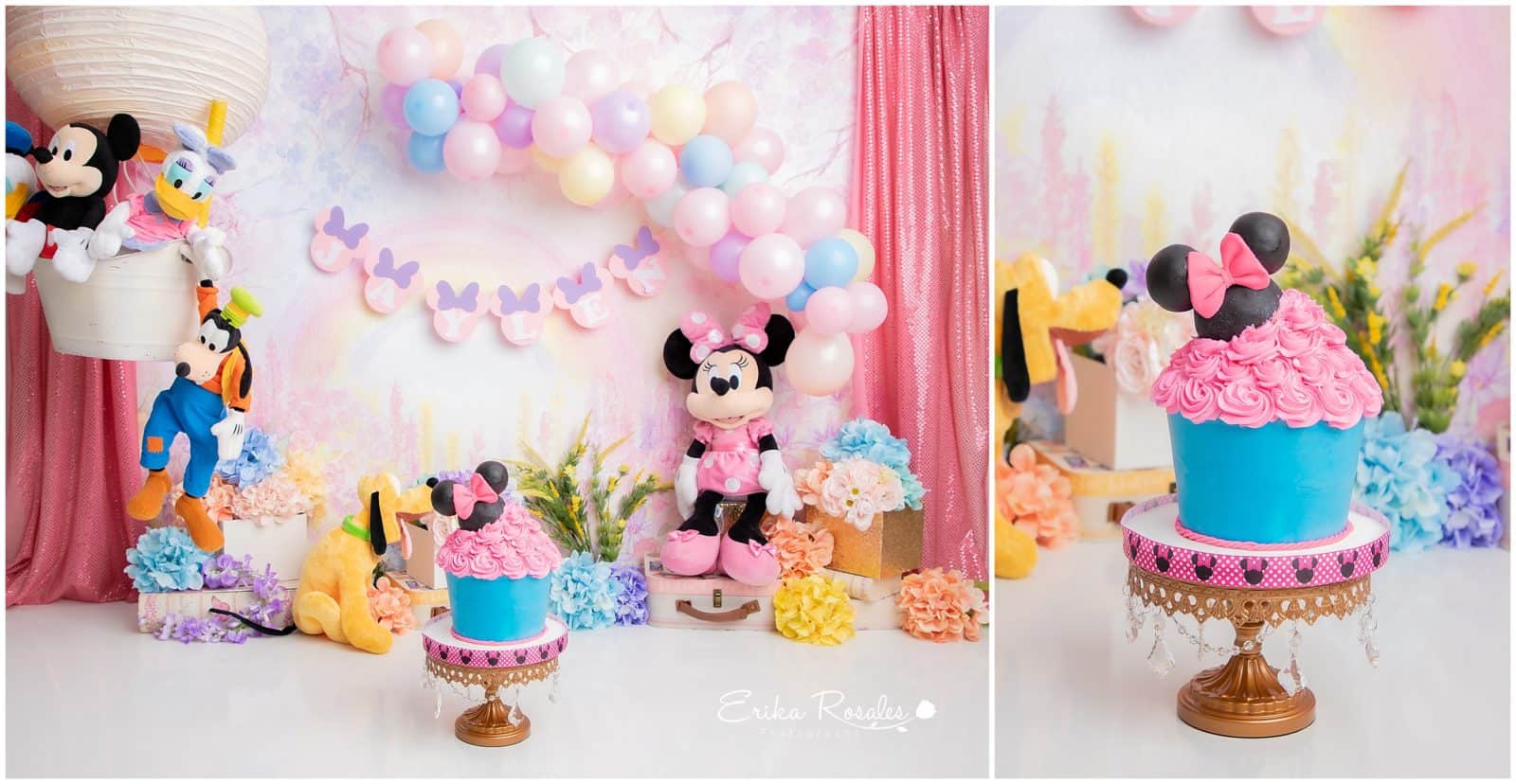 Erika Rosales Houston | Newborn-Smash Cake Maternity Photographer