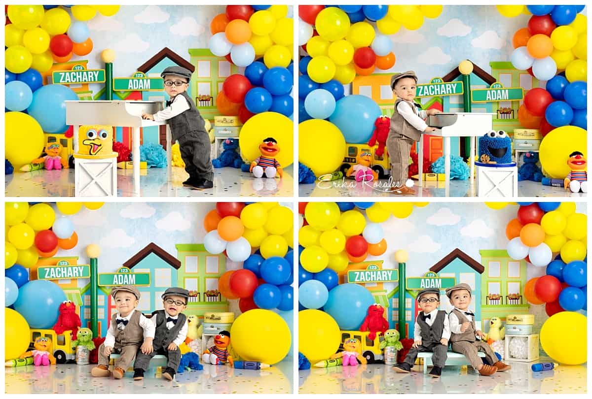 sesame street first birthday Archives Erika Rosales New York Photo Studio Family Portrait Studio in Bronx NY